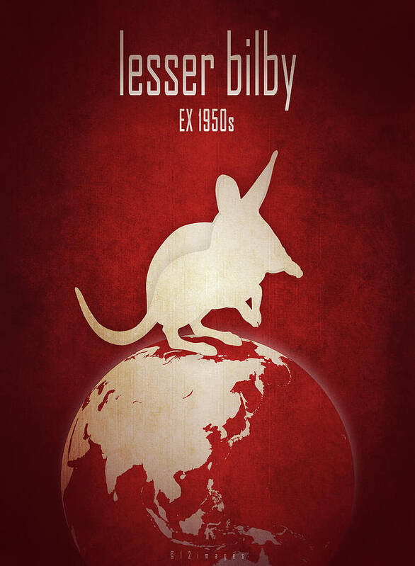 Lesser Bilby Poster featuring the digital art Lesser bilby - yallara by Moira Risen