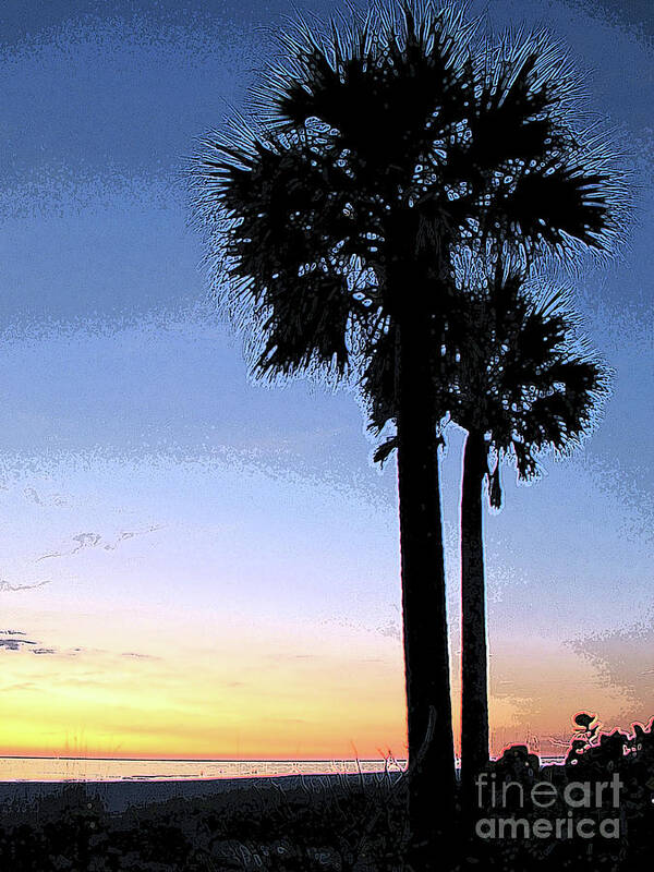 Palm Tree Poster featuring the digital art Lido Palm by Karen Francis