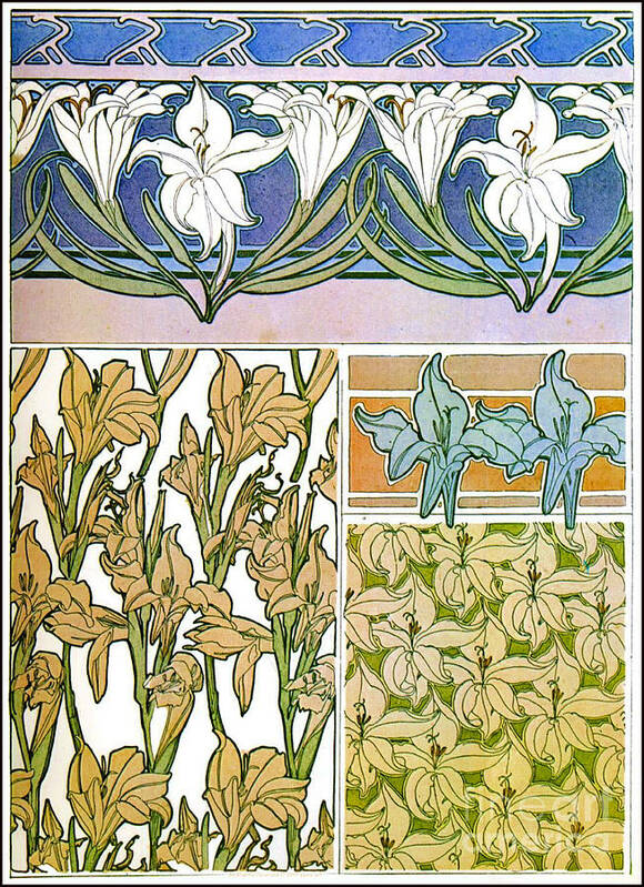 Lily Design Sketches 1901 Poster featuring the photograph Lily Design Sketches 1901 by Padre Art