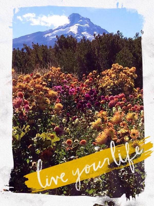 Mt. Hood Poster featuring the painting Live Your Life by Jennifer Lake