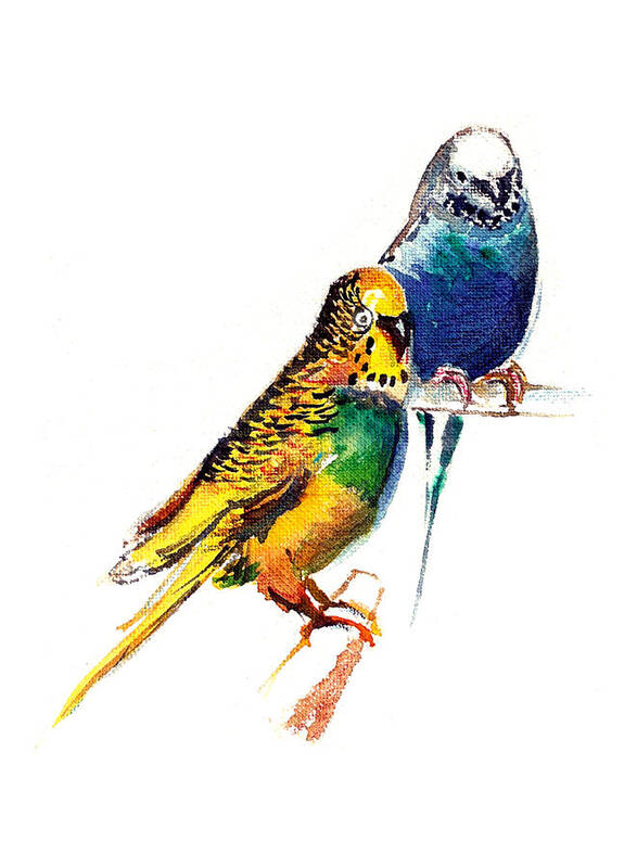 Nature Poster featuring the painting Love Birds by Anil Nene