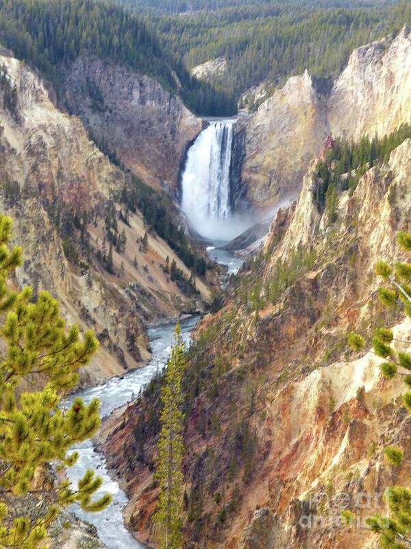 Falls Poster featuring the photograph Lower Yellowstone Falls from Artist Point by Jean Wright