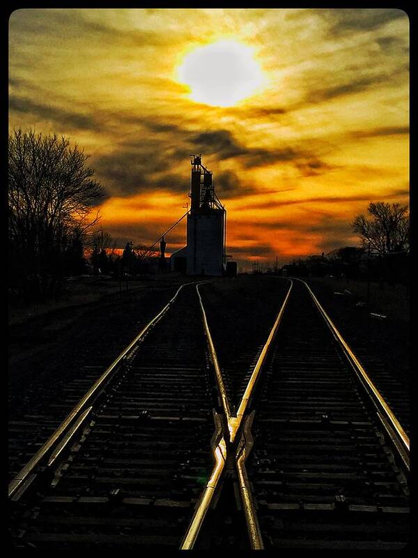 Sunset Sun Rise Elevator Train Tracks Poster featuring the photograph M Track by David Matthews