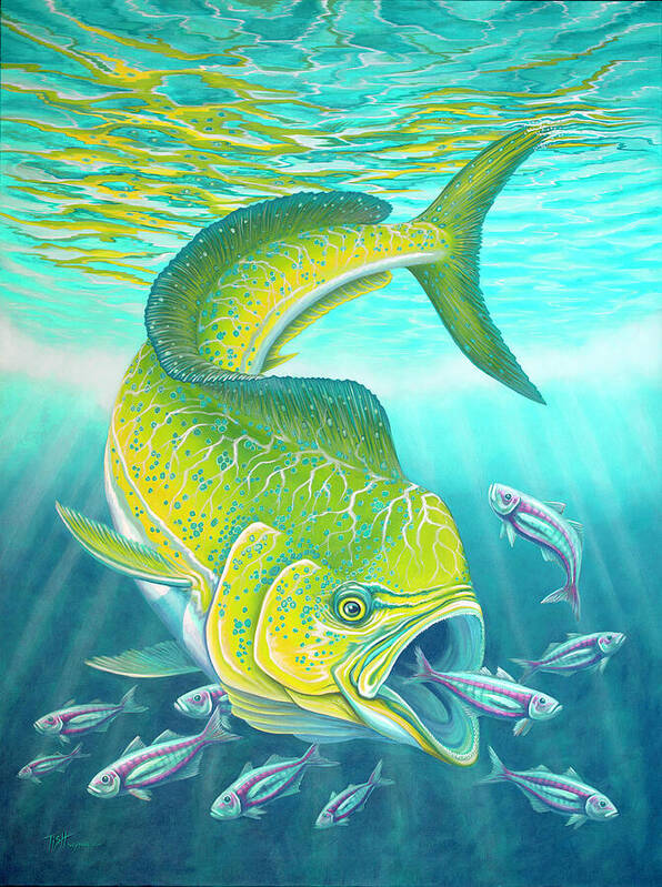 Mahi Mahi Poster featuring the painting Mahi Mahi by Tish Wynne