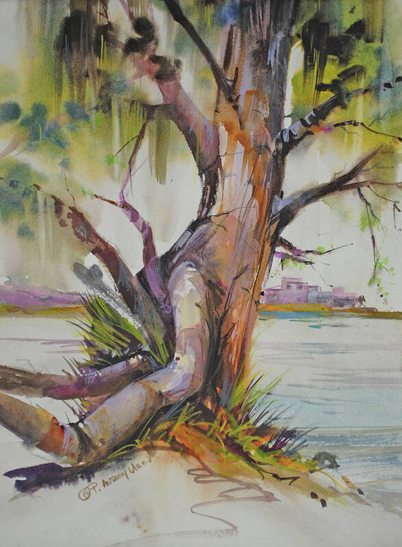Wooded Scene Poster featuring the painting Majestic Live Oak by P Anthony Visco