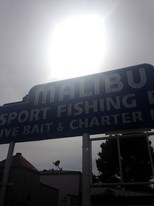 Malibu Poster featuring the photograph Malibu Sport Fishing by Katikaila Green