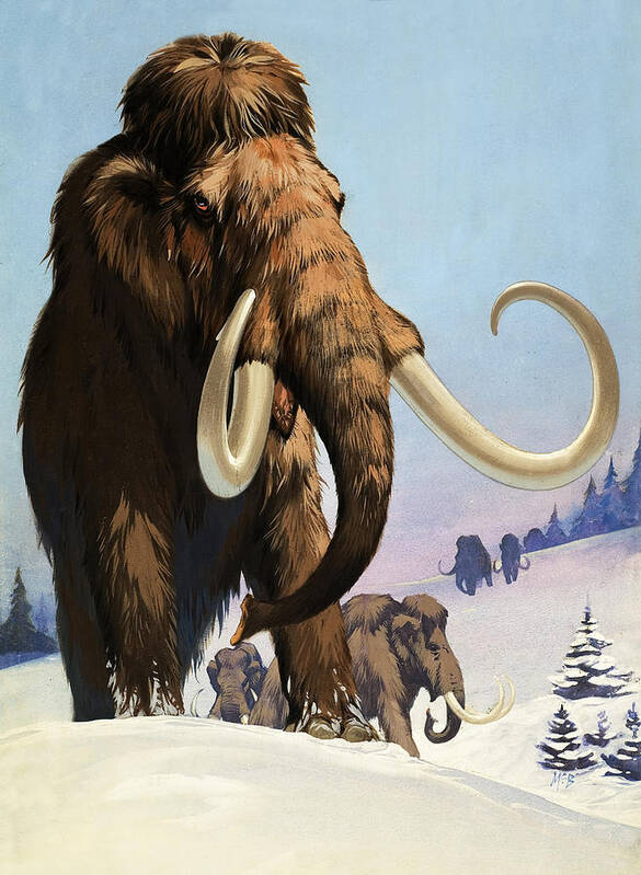 Mammoth Poster featuring the painting Mammoths from the Ice Age by Angus McBride