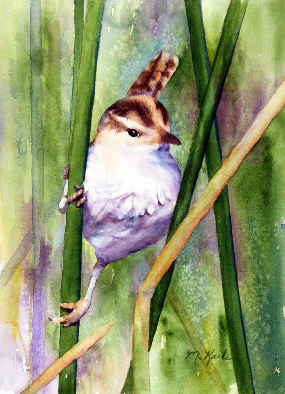 Bird Poster featuring the painting Silver Creek Marsh Wren by Marsha Karle