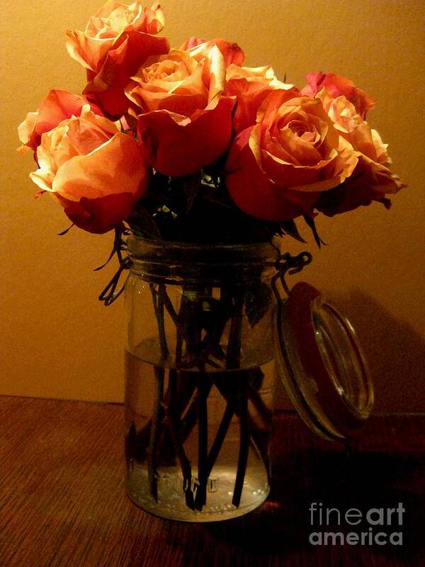 Roses Poster featuring the photograph Mason Jar by Robert D McBain