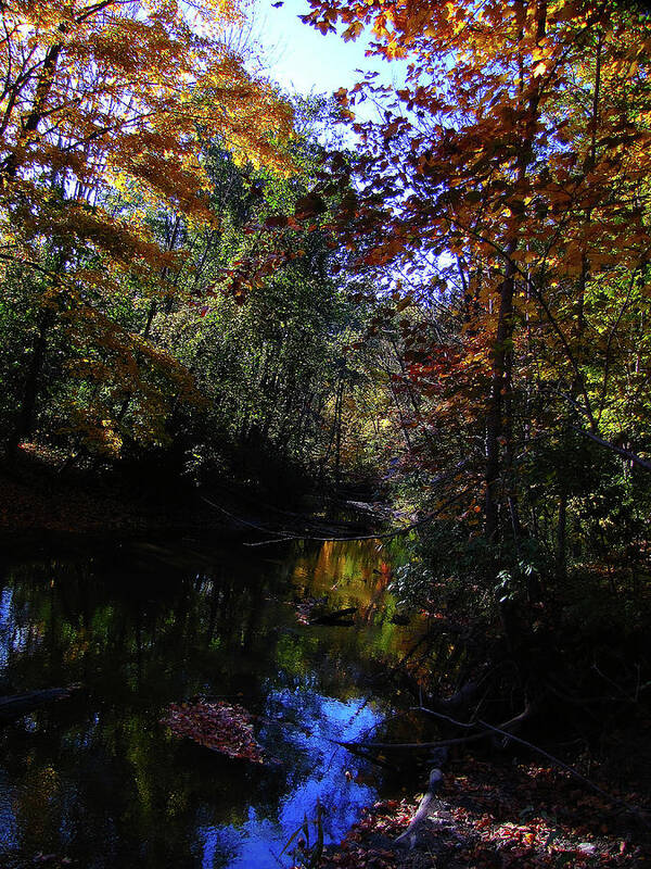 Hovind Poster featuring the photograph Michigan Fall Colors 3 by Scott Hovind
