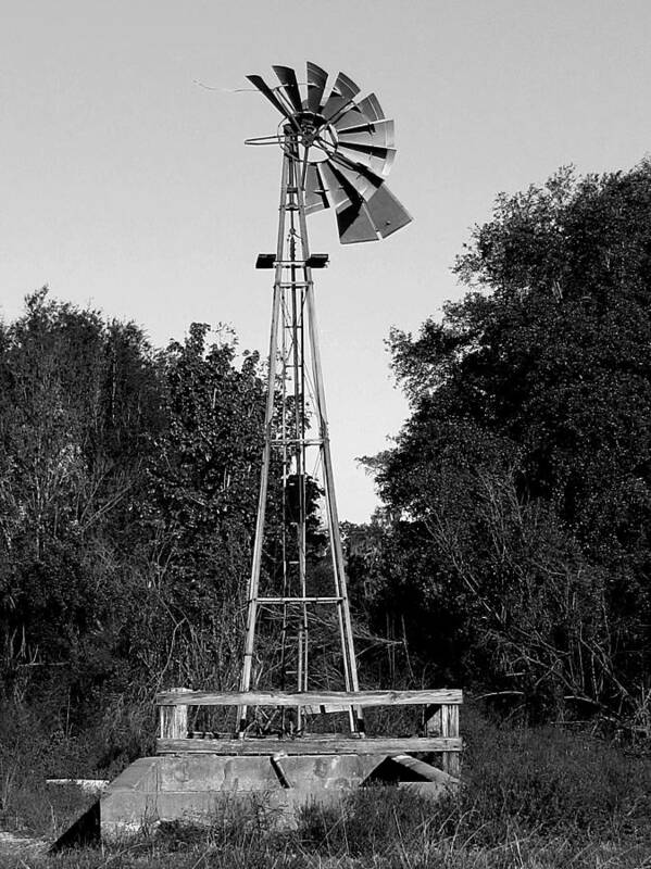 Windmill Poster featuring the photograph Monochrome Abandoned Windmill Whisper Windmill  by Christopher Mercer