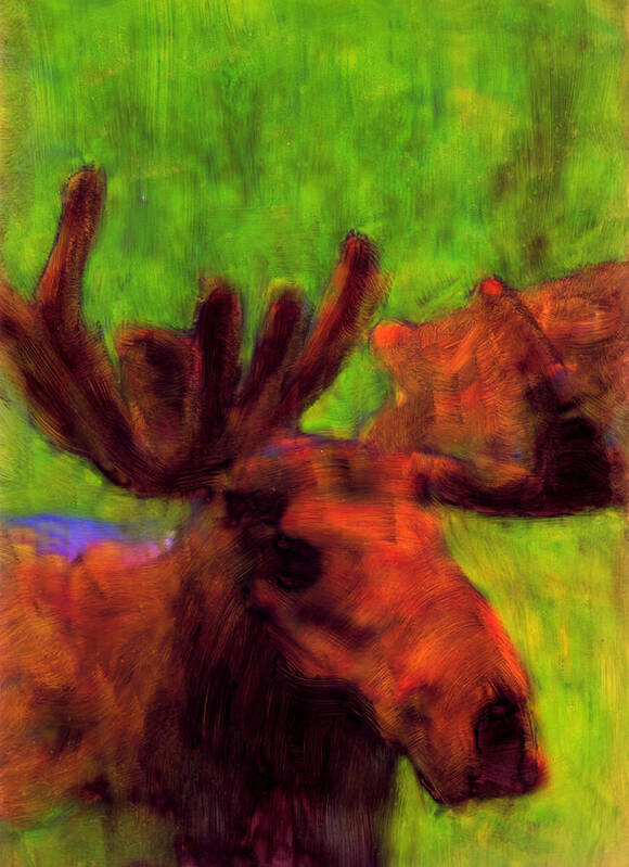 Moose Animals Maine Arrostick County Wildlife Poster featuring the painting Moose Moments by FeatherStone Studio Julie A Miller