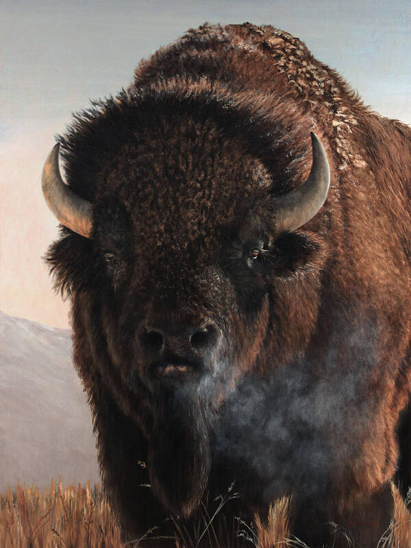 Bison Poster featuring the painting Morning in the Foothills by Dreyer Wildlife Print Collections 