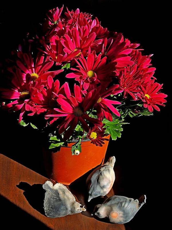 Still Life Poster featuring the photograph Mothers Day by Denise Clark
