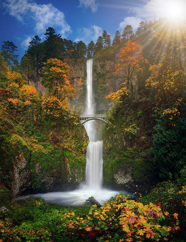 Falls Poster featuring the photograph Multnomah Falls in Autumn colors -panorama by William Lee