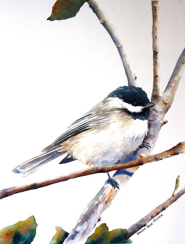 Black Capped Chickadee Poster featuring the painting My Little Chickadee by Brenda Beck Fisher