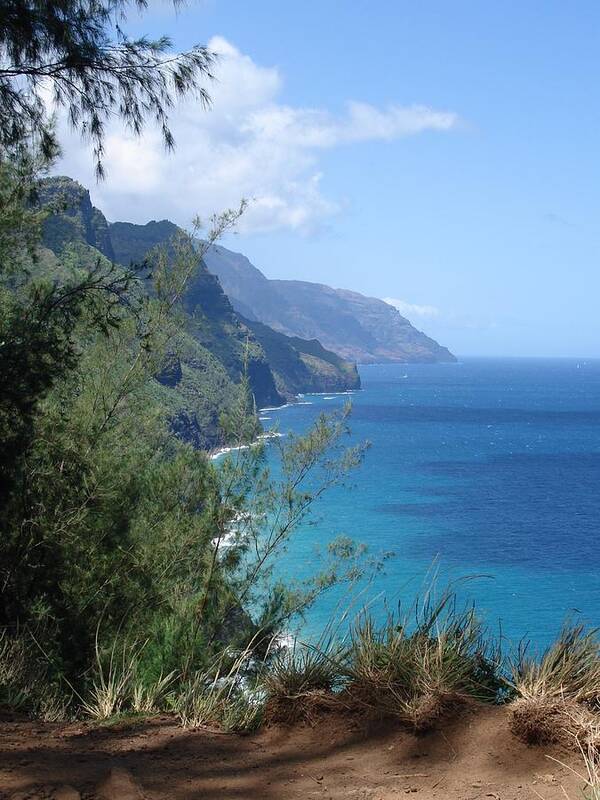Landscape Poster featuring the photograph Na Pali Coast by Richard Deurer