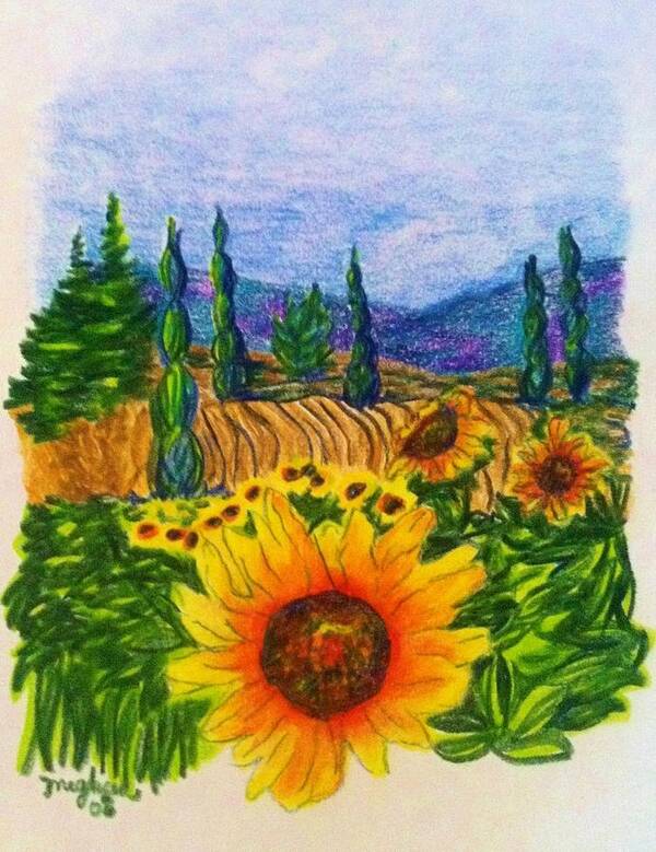 Close Up Sunflower; Landscape Poster featuring the drawing Napa Sunflower by Meghan Gallagher