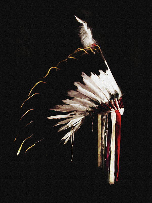 Native American Poster featuring the photograph Native Headdress by DiDesigns Graphics