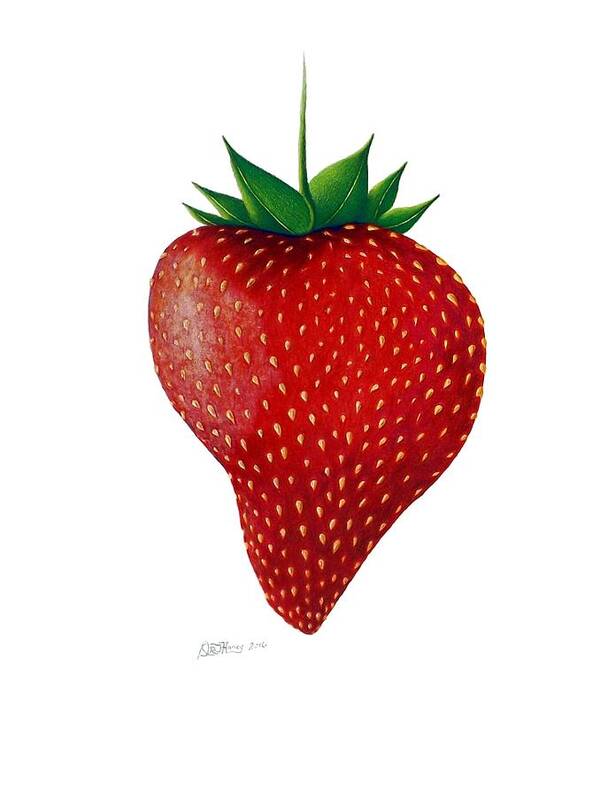 Strawberry Poster featuring the drawing Natural Beauty by Danielle R T Haney