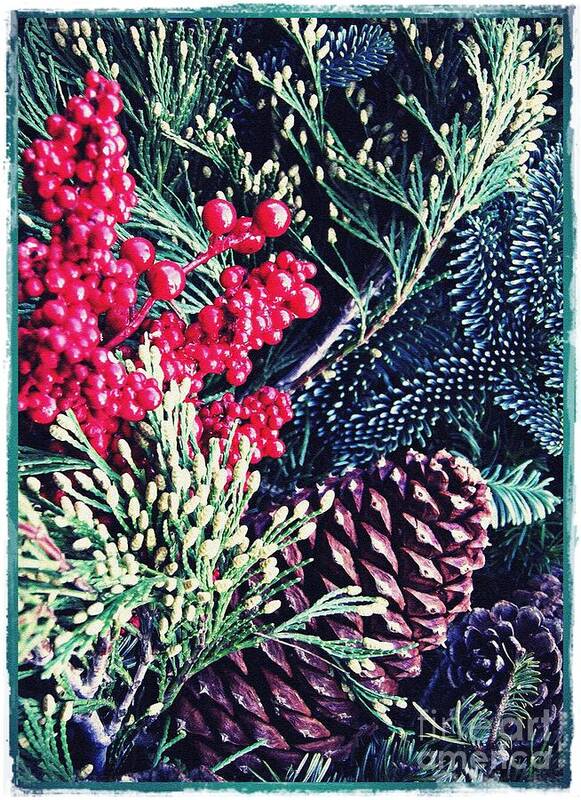 Christmas Poster featuring the photograph Natural Christmas 3 Card 1 by Sarah Loft