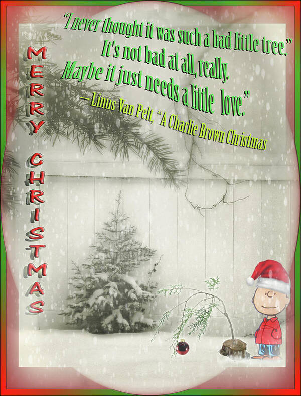 Christmas Poster featuring the photograph Not A Bad Little Tree by John Anderson