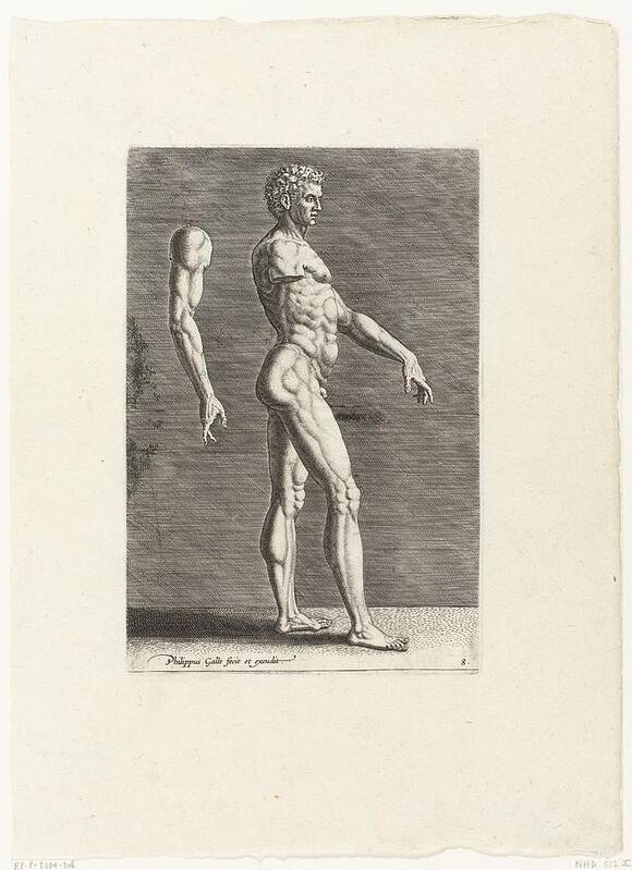 Nude Poster featuring the drawing Anatomical drawing of Nude man walking to the right by Vintage Collectables