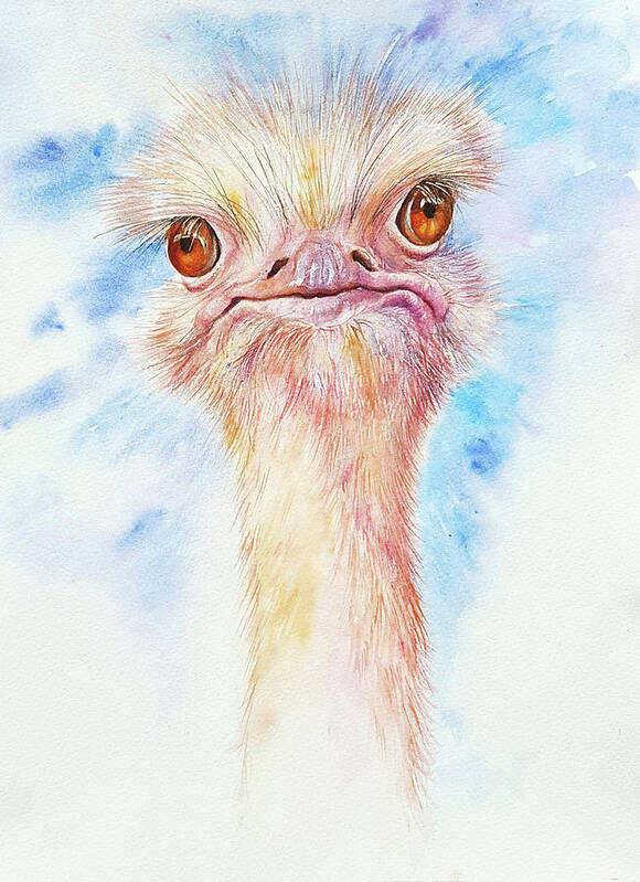 Ostrich Poster featuring the painting Oliver the Ostrich by Arti Chauhan