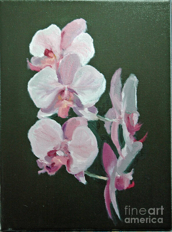 Floral Poster featuring the painting Orchids for Didi by Glenn Secrest