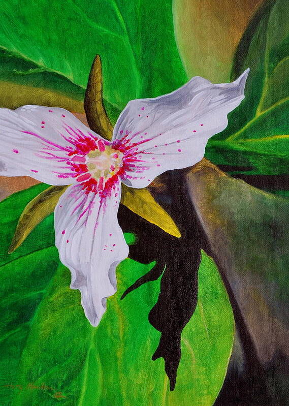 Flowers Poster featuring the painting Painted Trillium by Harry Moulton