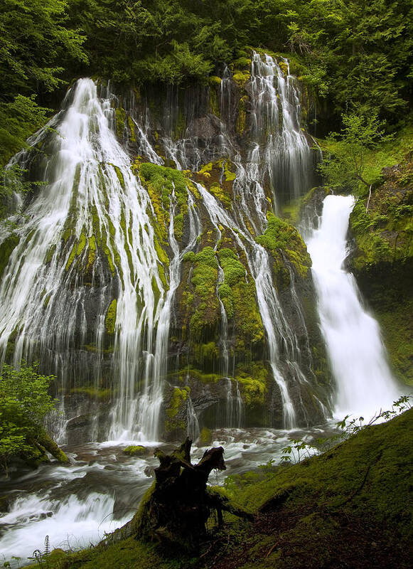 Waterfall Poster featuring the photograph Panther Creek Falls by Jon Ares