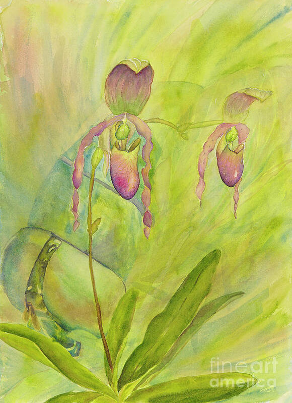 Tropical Poster featuring the painting Paphiopedilum Pollination-Where is the fly? by Lisa Debaets