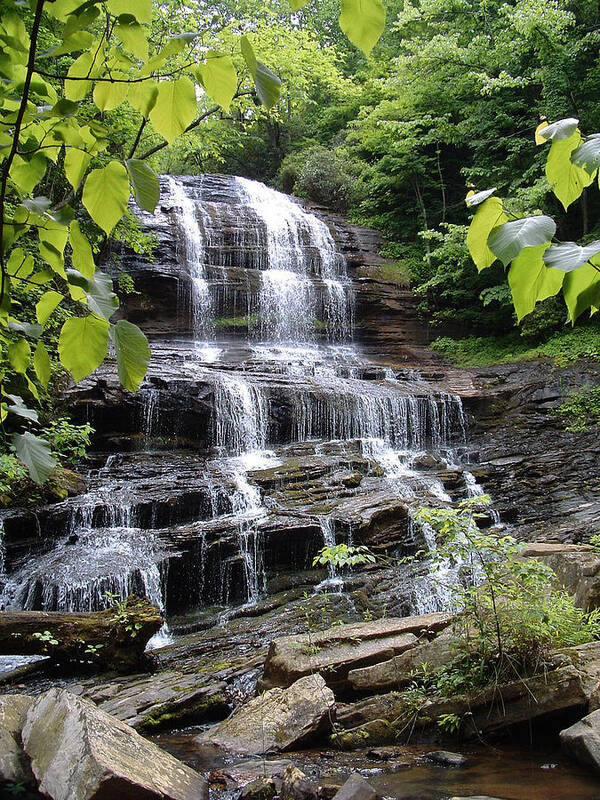 Pearson Falls; Pearson; Falls; Waterfall; Water; Fall; Nature; Ecology; River; Stream; Forest; Nature; Clean; Fresh; Pure; Purity; North Carolina; Landscape; Scenic Poster featuring the photograph Pearson Falls by Gerard Fritz