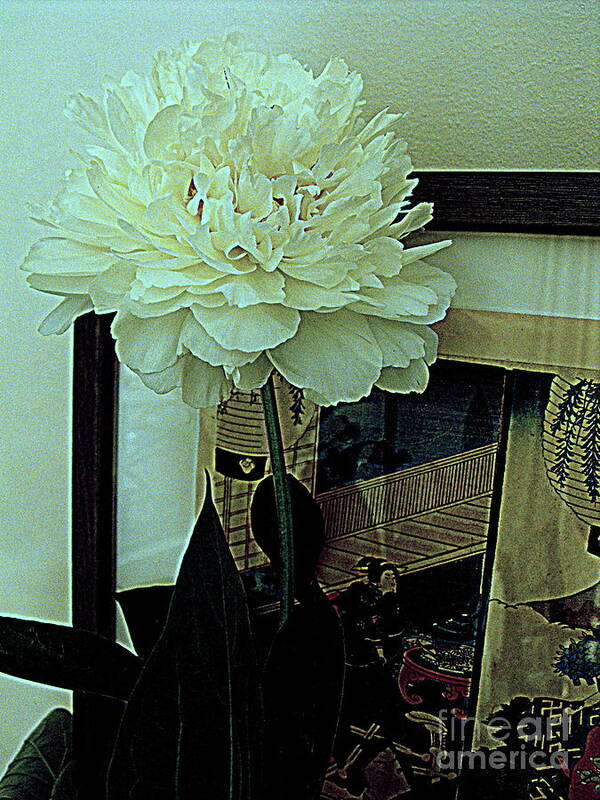 Photography Poster featuring the photograph Peony Pose by Nancy Kane Chapman