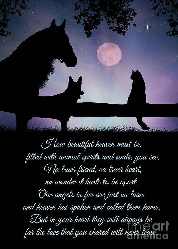 Horse Poster featuring the photograph Pet Sympathy Heaven Memorial Poem for Bereavement by Stephanie Laird