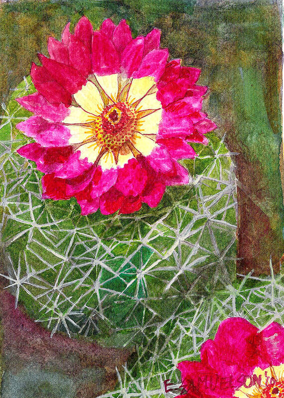 Cactus Poster featuring the painting Pincushion Cactus by Eric Samuelson