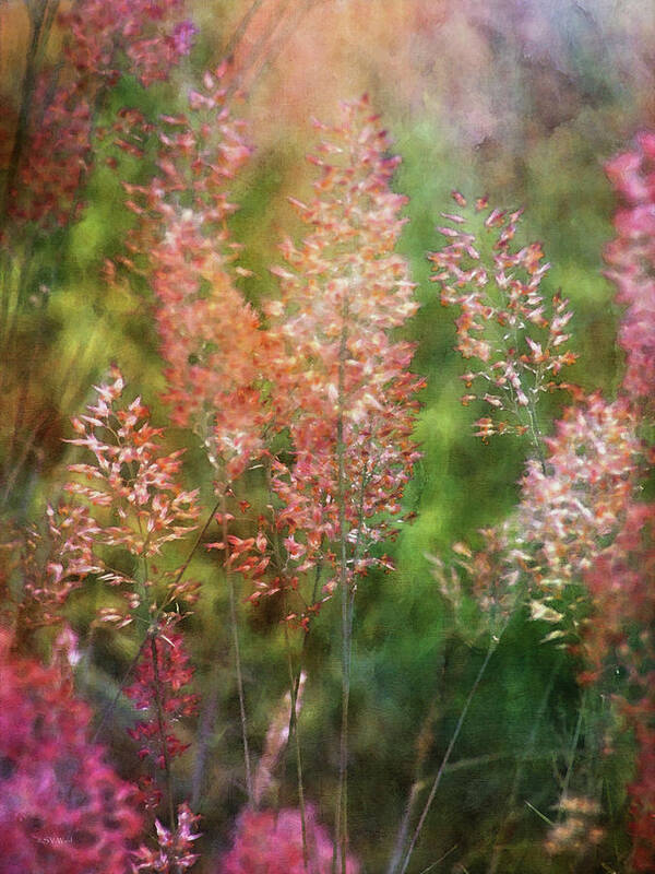 Impressionist Poster featuring the photograph Pink Tails 4242 IDP_2 by Steven Ward