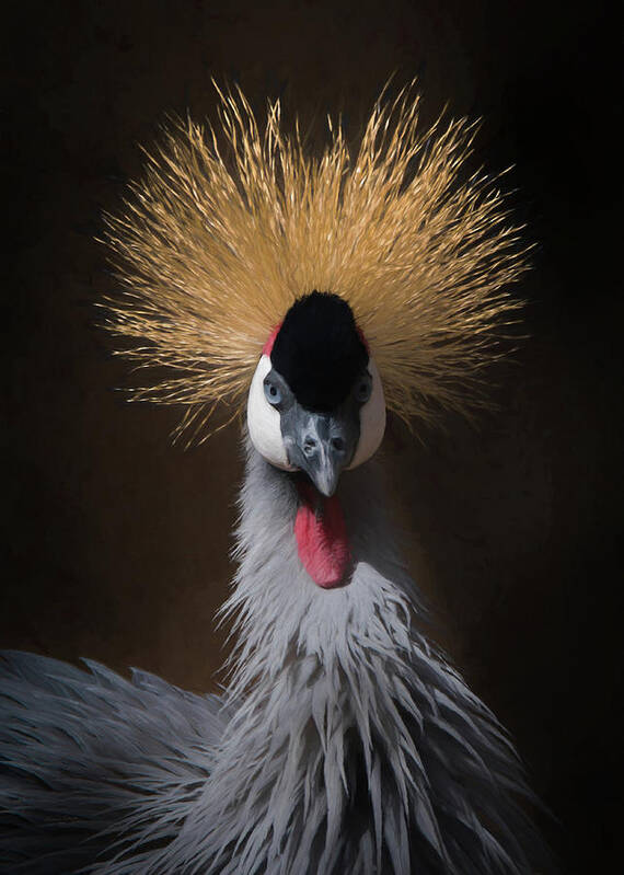 African Crowned Cranes Poster featuring the digital art Portrait of a Crowned Crane 2 by Ernest Echols