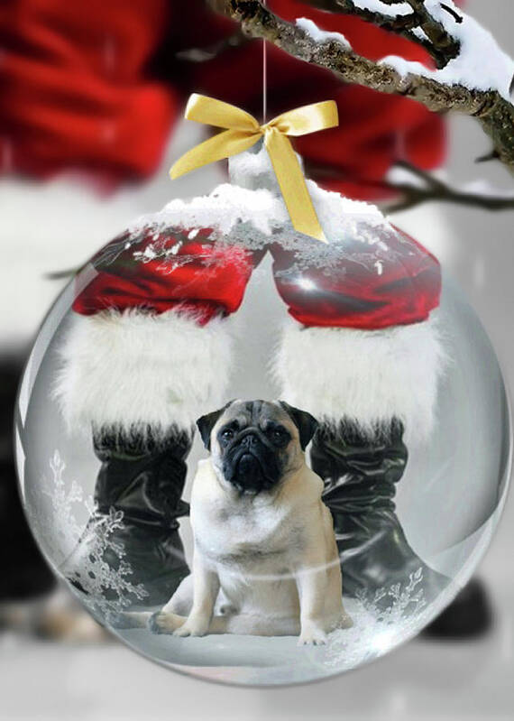 Pug Poster featuring the photograph Pug and Santa by Jackson Pearson