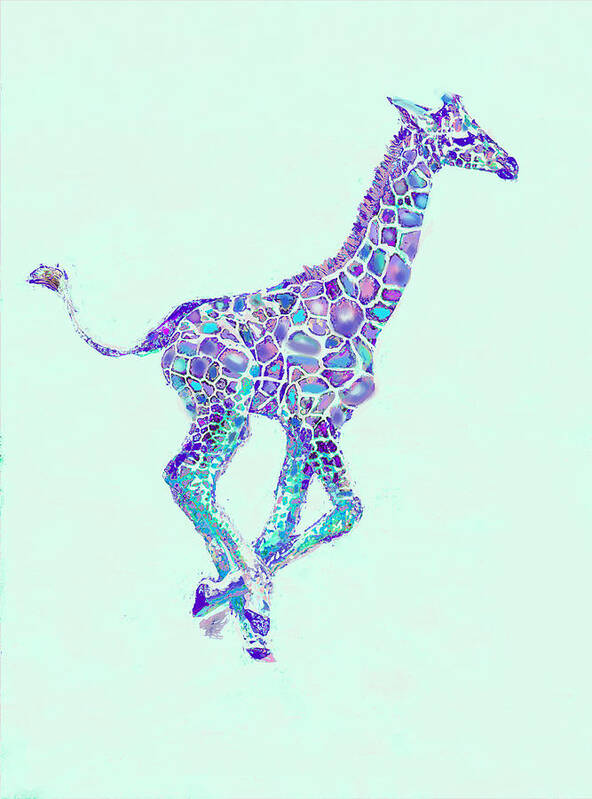 Giraffe Poster featuring the digital art Purple And Aqua Running Baby Giraffe by Jane Schnetlage