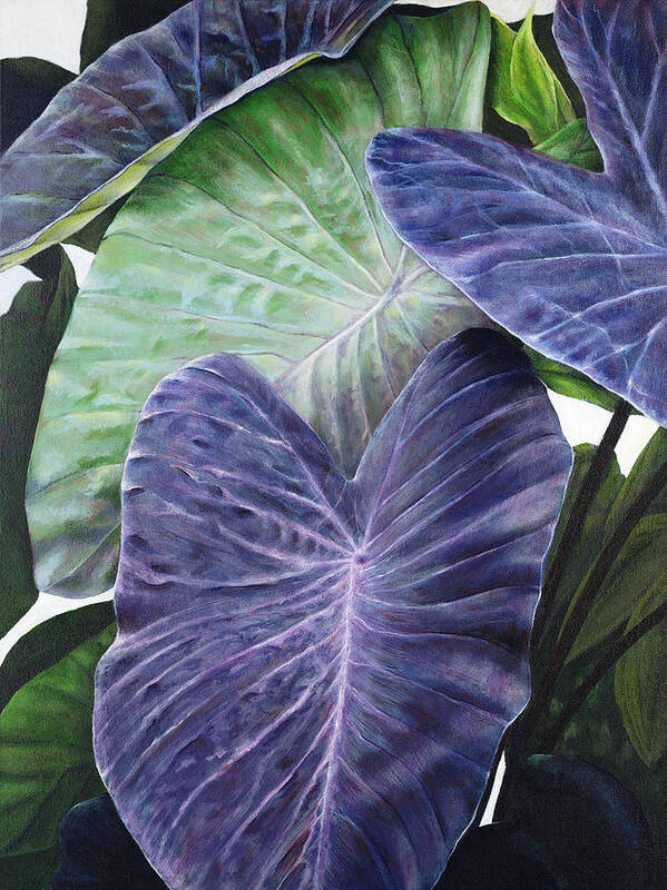 Acrylic Poster featuring the painting Purple Taro by Sandra Blazel - Printscapes