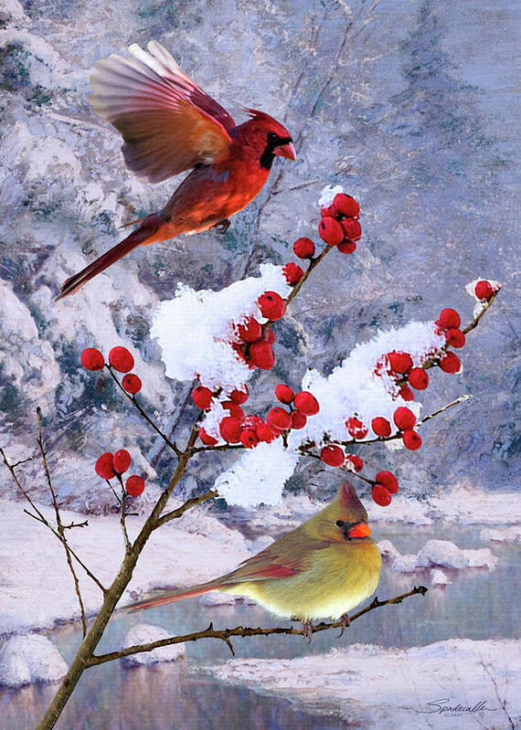 Cardinals; Birds; Christmas; Season Greetings; Winter; Snow; Berries; Red; Card; Digital Painting; Spadecaller Poster featuring the digital art Red Birds of Christmas by M Spadecaller