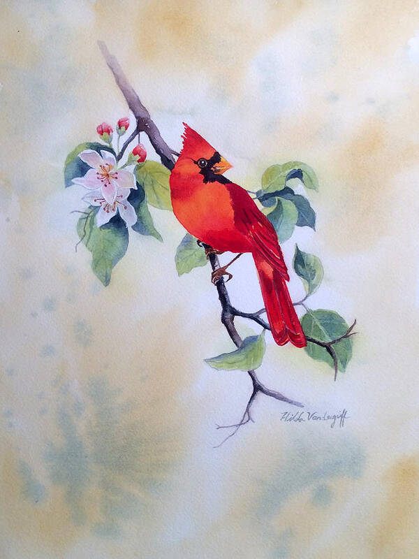 Bird Poster featuring the painting Red Cardinal by Hilda Vandergriff