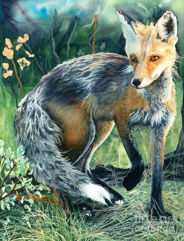 Fox Poster featuring the painting Red Fox- Caught in the Moment by Barbara Jewell