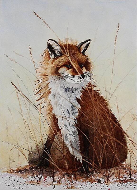Wildlife Poster featuring the painting Red Fox Waiting on Breakfast by Jimmy Smith