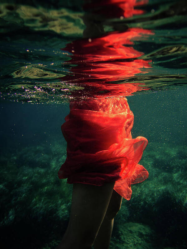 Swim Poster featuring the photograph Red Mermaid by Gemma Silvestre