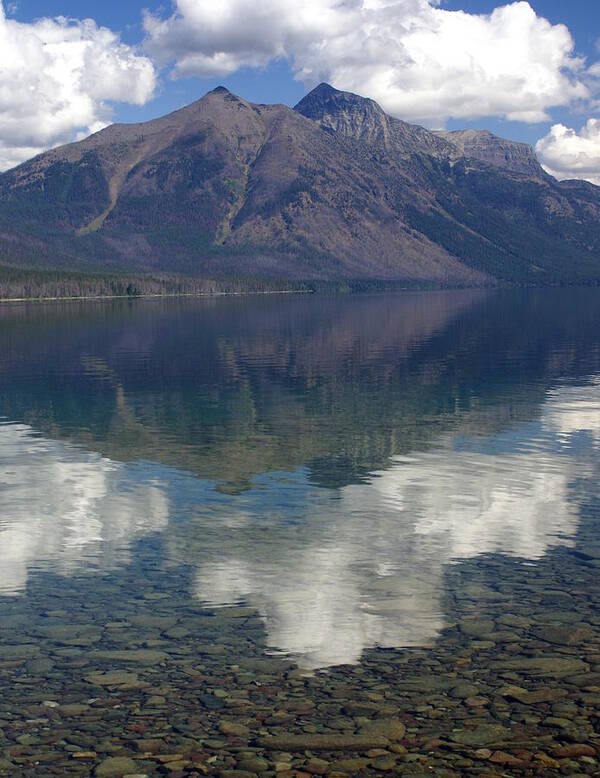 Lake Poster featuring the photograph Reflections on the Lake by Marty Koch