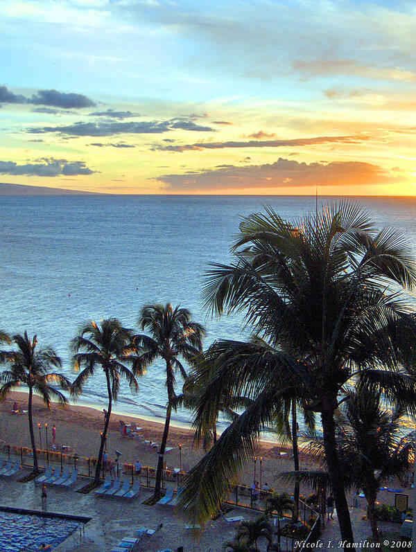 Palm Tree Poster featuring the photograph Resort Sunset by Nicole I Hamilton