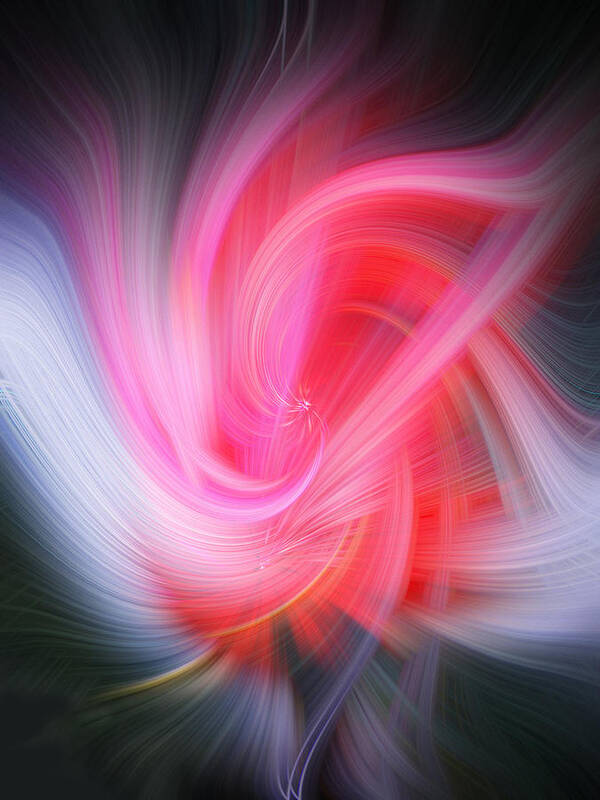 Abstract Poster featuring the photograph Restored Rose by Linda Phelps