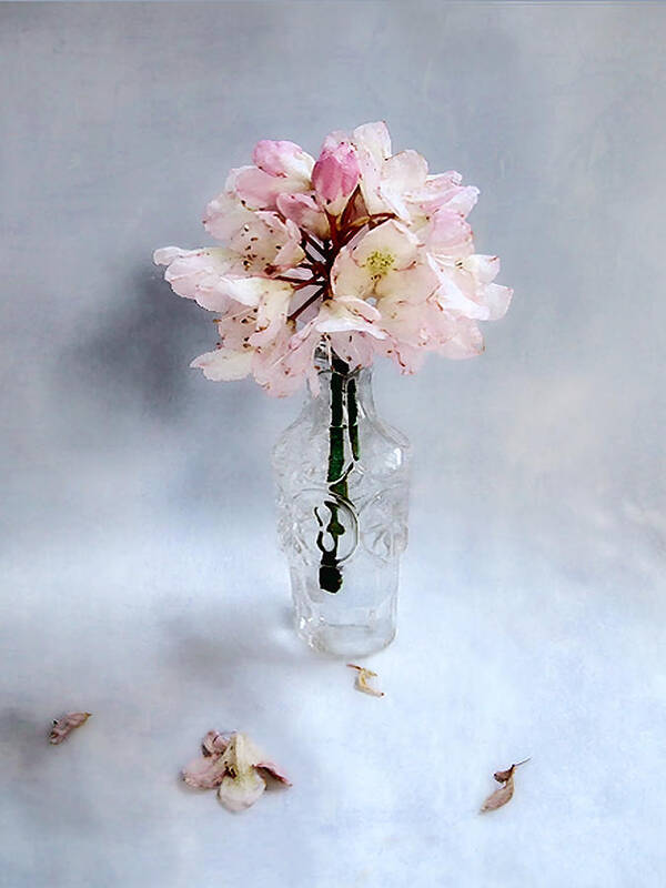 Flower Poster featuring the photograph Rhododendron Bloom in a Glass Bottle by Louise Kumpf